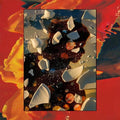 HAND HABITS - SUGAR THE BRUISE (VINYL)