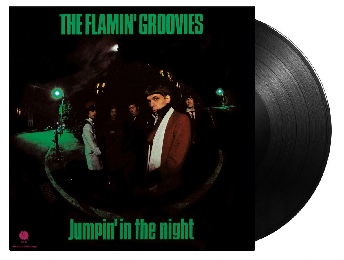 Flamin Groovies ?¨C Jumpin' In the Night