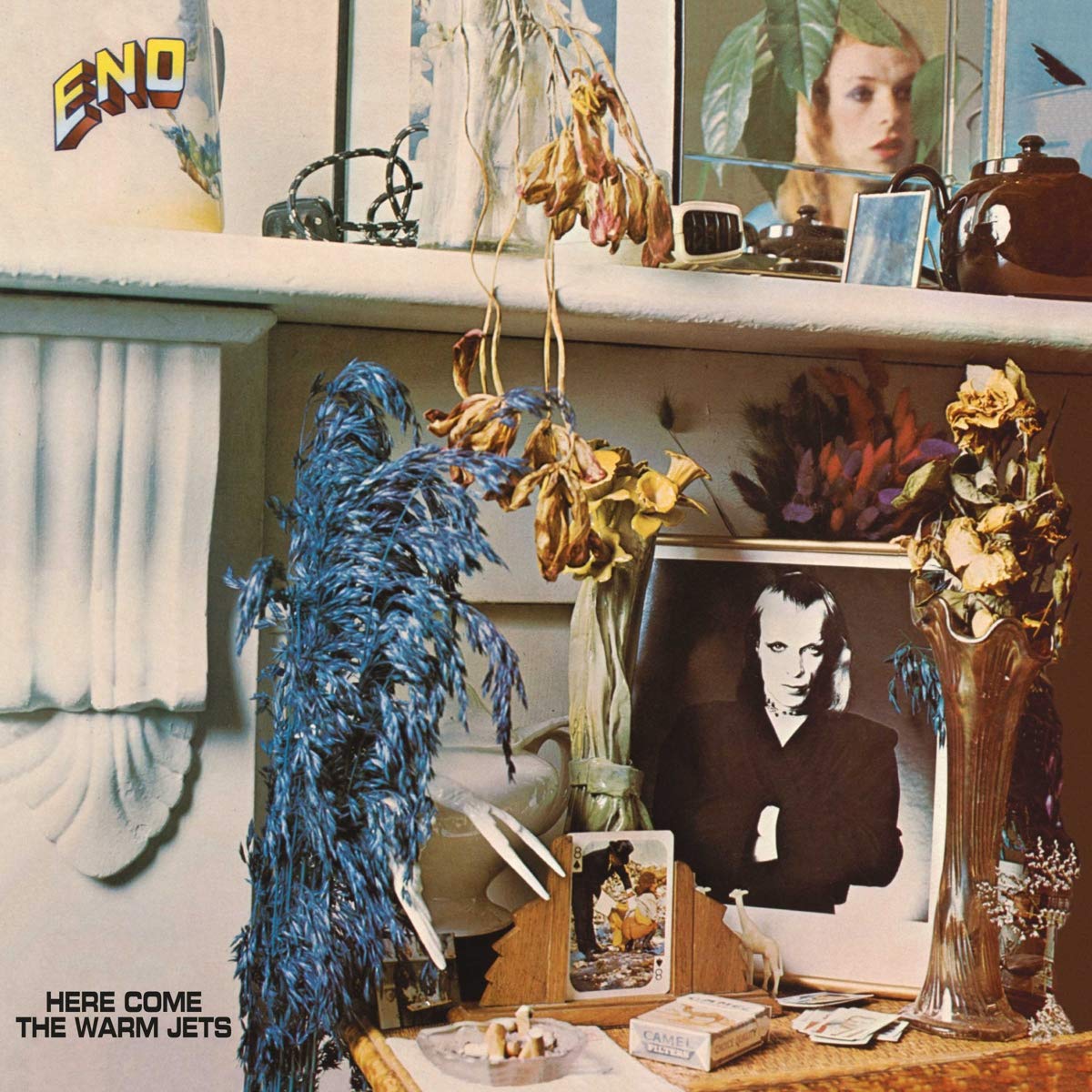 Eno, Brian ?¨C Here Come The Warm Jets