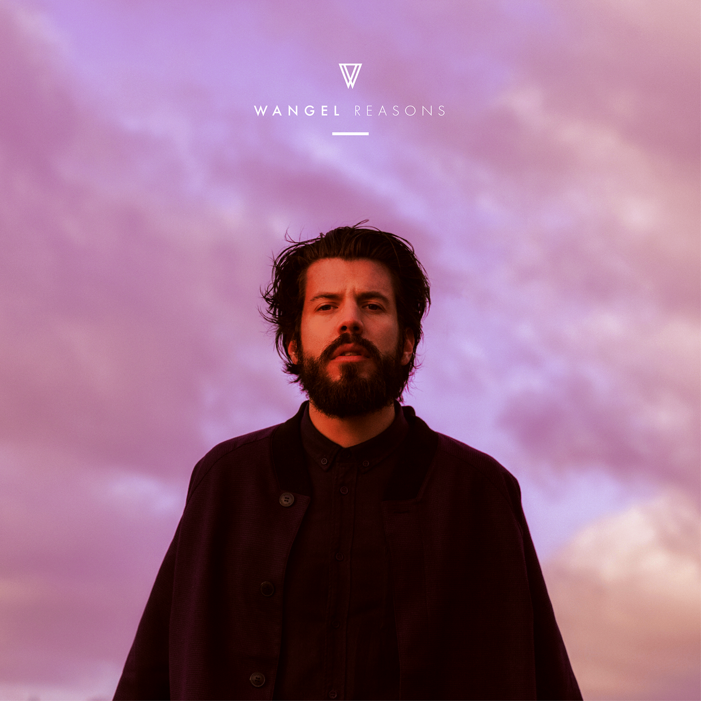 Wangel - Reasons