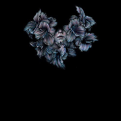 A LOT LIKE BIRDS - DIVISI (VINYL)
