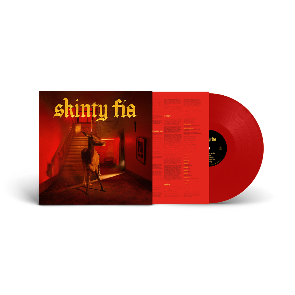 Fontaines D.C. ?¨C Skinty Fia