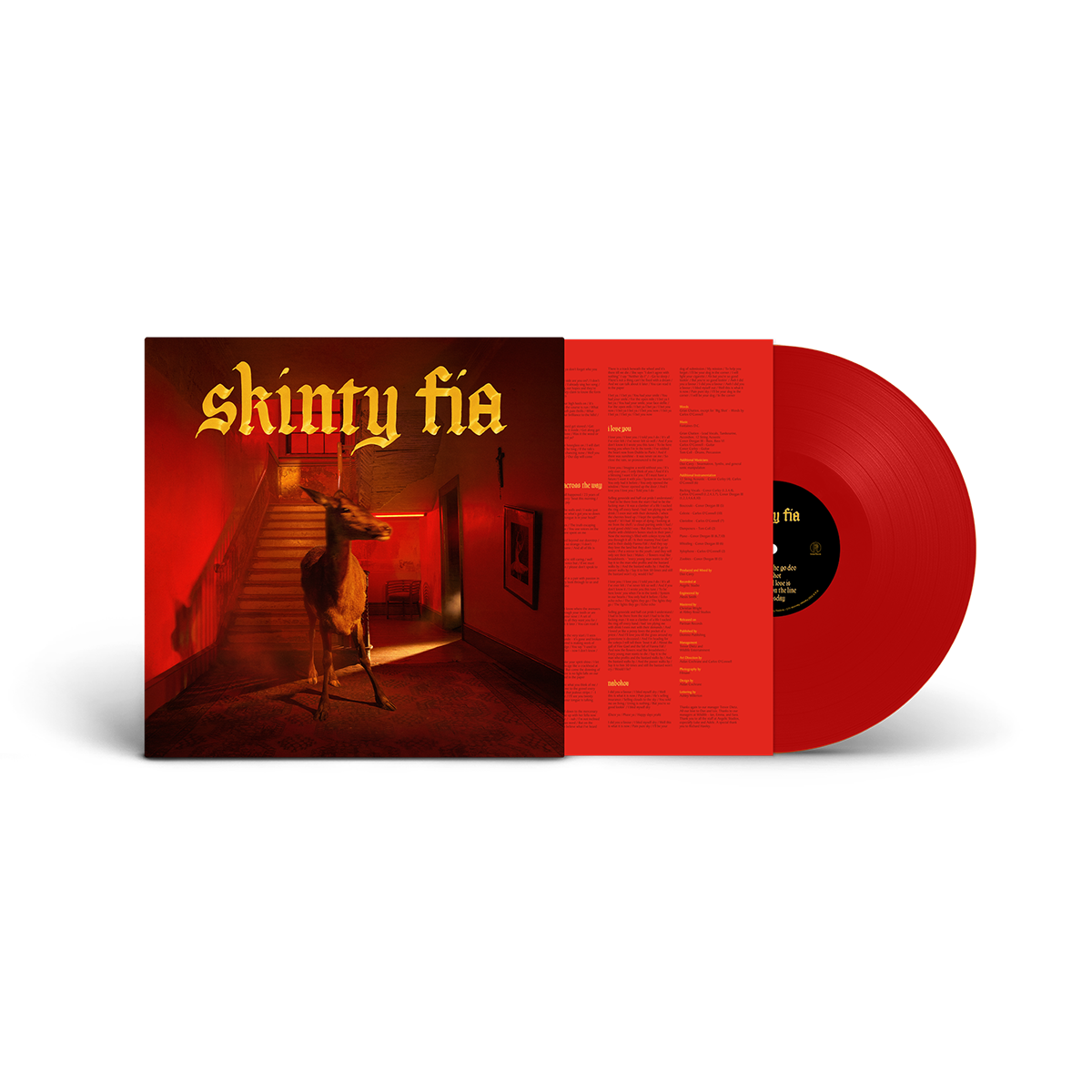 Fontaines D.C. ?¨C Skinty Fia