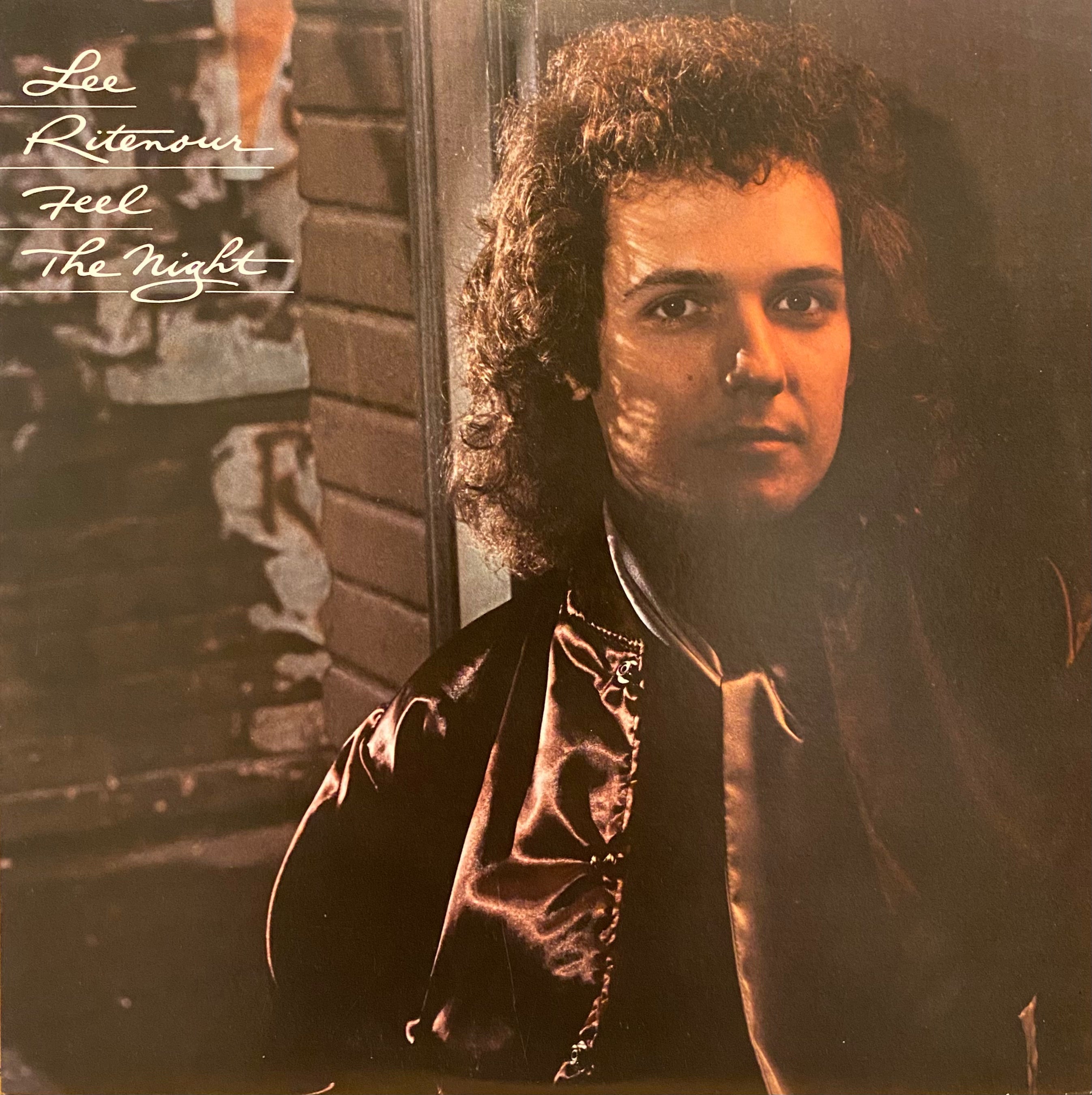 Lee Ritenour - Feel The Night  (Used Vinyl LP)