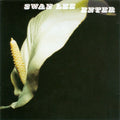 Swan Lee ??Enter