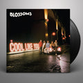 Blossoms ?¨C Cool Like You