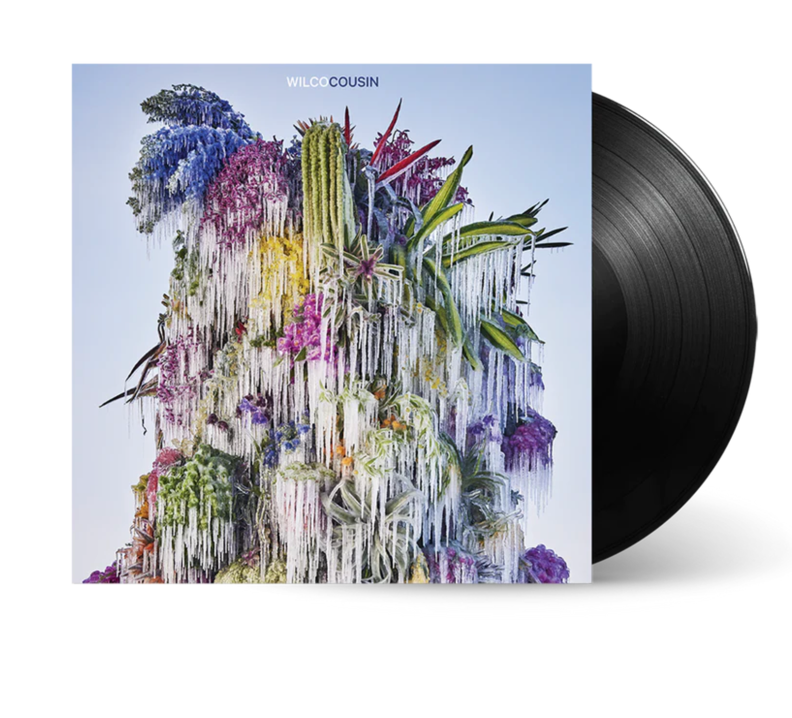 Wilco - Cousin