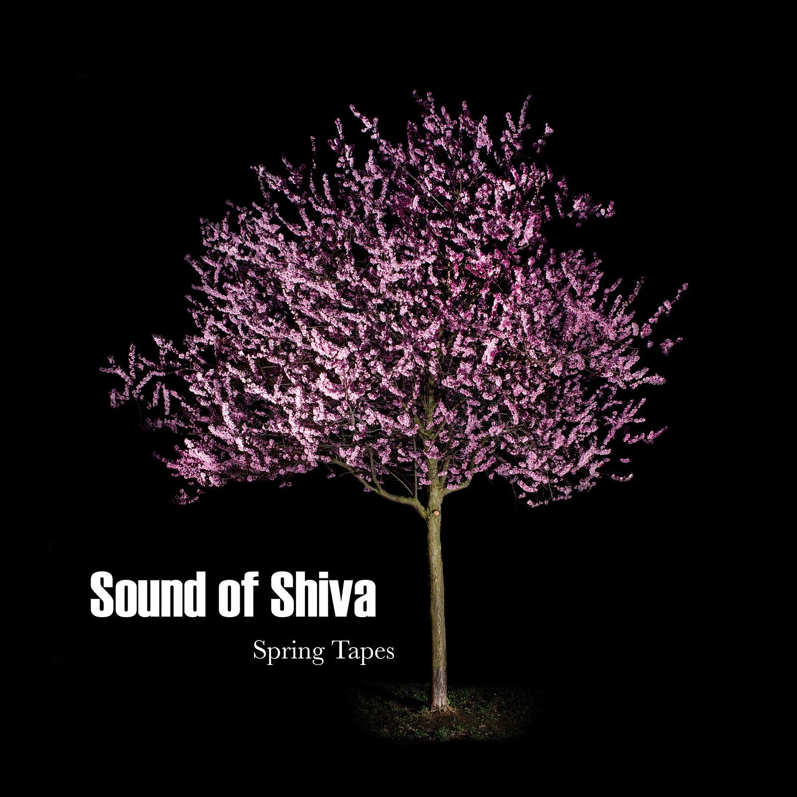 Sound Of Shiva - Spring Tapes