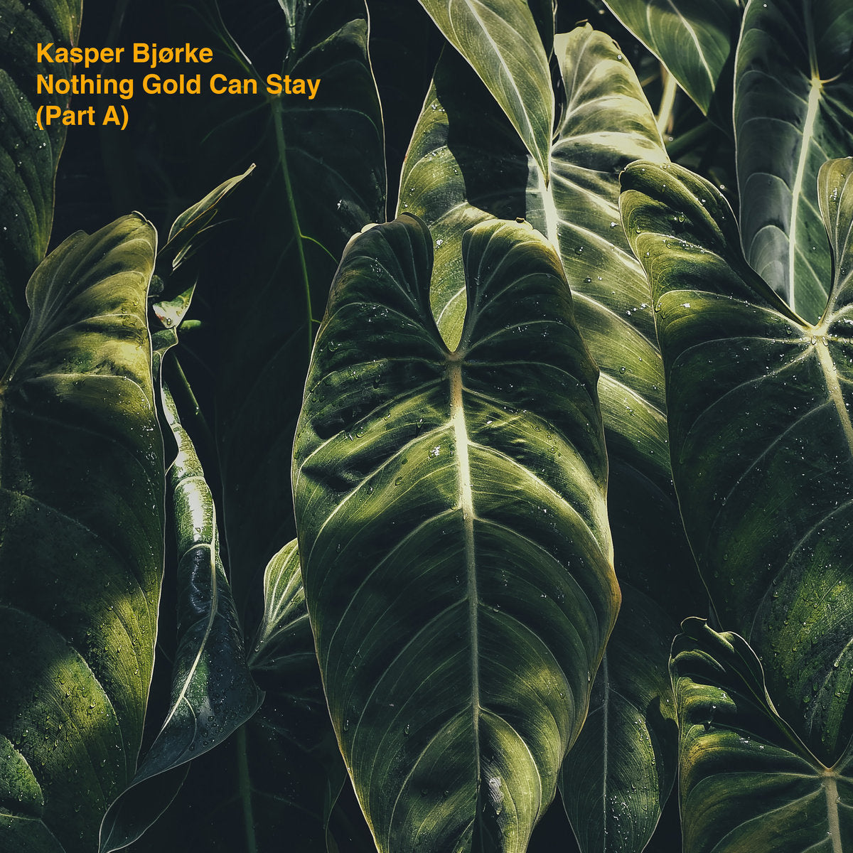 Bj?rke, Kasper  - Nothing Gold Can Stay (Part A)