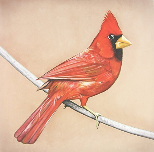 Alexisonfire - Old Crows / Young Cardinals  (New Vinyl LP)
