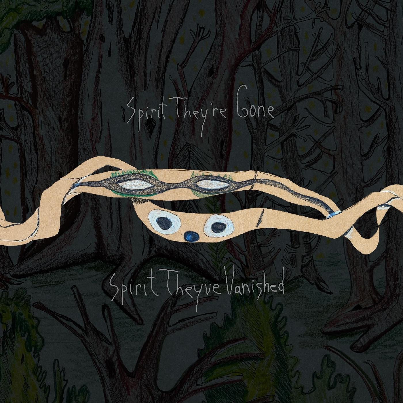 Animal Collective - Spirit They're Gone, Spirit They've Vanished (Remastered) [Grass Green Vinyl]  (New Vinyl LP)