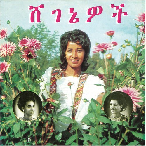 Aselefech Ashine and Getenesh Kebret - Beauties  (New Vinyl LP)