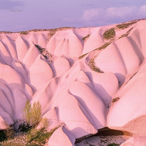 Autechre - Amber [2xLP]  (New Vinyl LP)