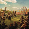 Boy & Bear - Harlequin Dream (10th Anniversary) [Transparent Blue Vinyl]  (New Vinyl LP)