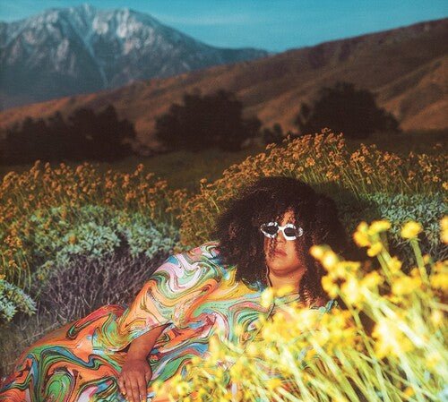 Brittany Howard - What Now [Colored Vinyl]  (New Vinyl LP)
