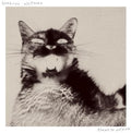 HARRISON WHITFORD - AFRAID OF NOTHING (LP)