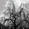 Colin Stetson And Sarah Neufeld - Never Were The Way She Was  (Used Vinyl LP)