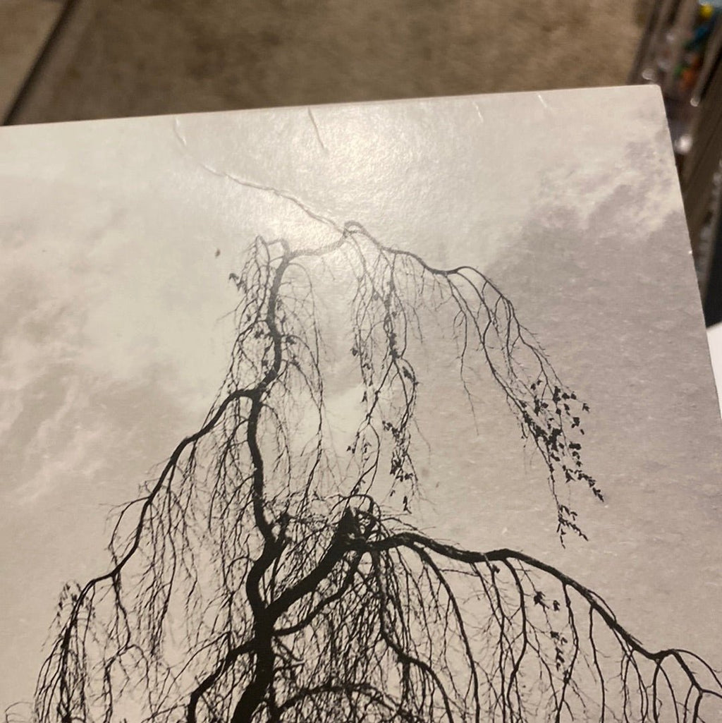 Colin Stetson And Sarah Neufeld - Never Were The Way She Was  (Used Vinyl LP)