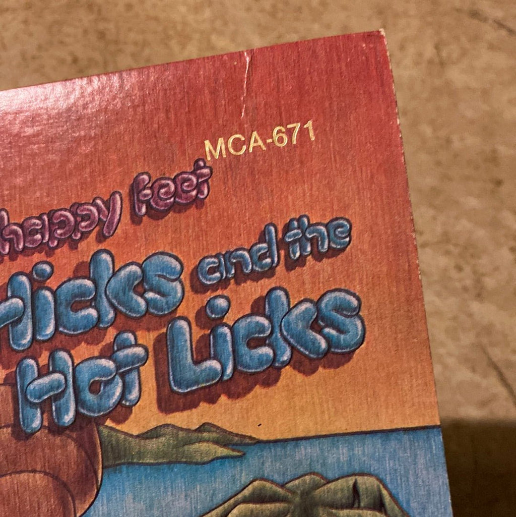 Dan Hicks And The Hot Licks - Last Train To Hicksville...The Home Of Happy Feet  (Used Vinyl LP)