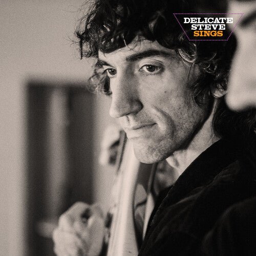 Delicate Steve - Delicate Steve Sings  (New Vinyl LP)
