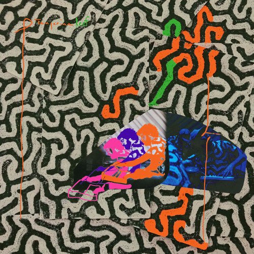 [Discounted] Animal Collective - Tangerine Reef  (New Vinyl LP)
