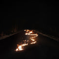 [Discounted] Bob Moses - Battle Lines  (New Vinyl LP)