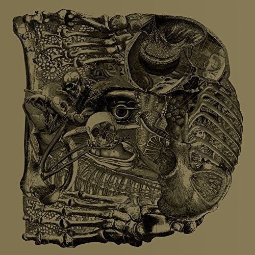 [Discounted] Boris - Dear [2xLP]  (New Vinyl LP)