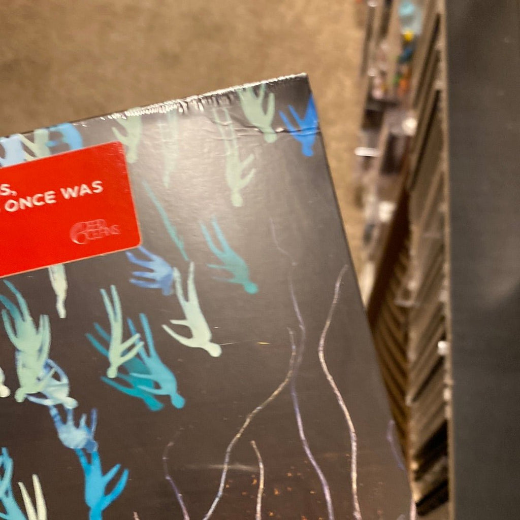 [Discounted] Bright Eyes ‎- Down in the Weeds, Where the World Once Was (Trans Red / Trans Orange) (New Vinyl LP)