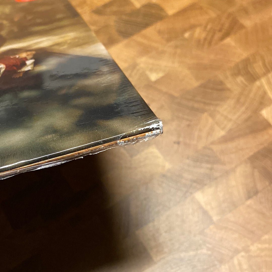 [Discounted] CocoRosie - The Adventures Of Ghosthorse and Stillborn  (New Vinyl LP)
