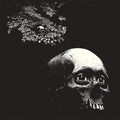 [Discounted] Osees - Foul Form  (New Vinyl LP)