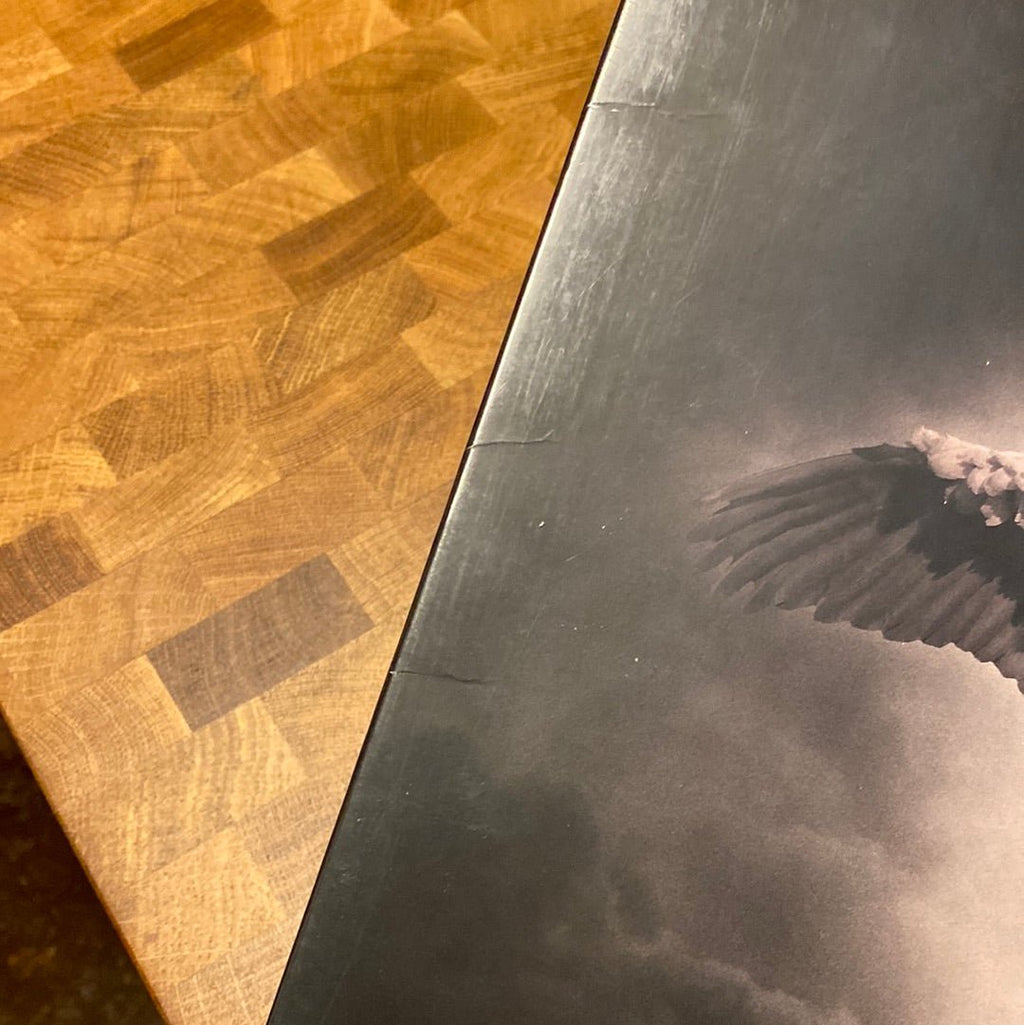 [Discounted] Tom Morello - The Atlas Underground  (New Vinyl LP)