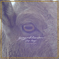 [Discounted] Young and Heartless - Stay Away [White Vinyl]  (New Vinyl LP)