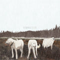 Foxing - The Albatross: Ten Years [Brown Vinyl]  (New Vinyl LP)