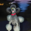 Hit Bargain - A Dog A Deer A Seal  (New Vinyl LP)