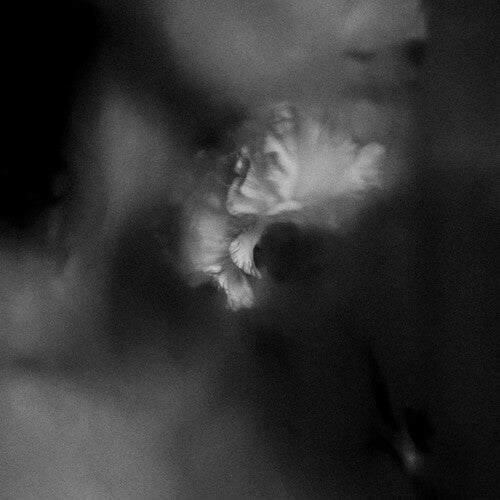 Holding Absence - Holding Absence [Clear W/ Black Splatter Vinyl]  (New Vinyl LP)