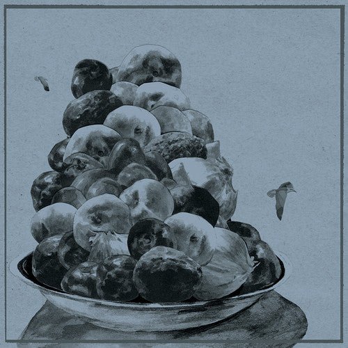 Hop Along - Painted Shut  (New Vinyl LP)