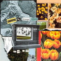 I'm Sorry Thank You - Growing In Strange Places [Orange Crush Vinyl]   (New Vinyl LP)