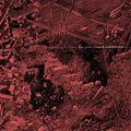 Integrity - Systems Overload [Red w/ Splatter Vinyl]  (New Vinyl LP)