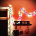 Kristin Hersh - Clear Pond Road [Clear Vinyl]  (New Vinyl LP)