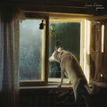 Laura Gibson - Goners  (Used Vinyl LP)