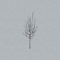 Low - Ones and Sixes [2xLP]  (New Vinyl LP)
