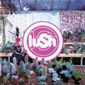 Lush - Lovelife [Clear Vinyl]  (New Vinyl LP)