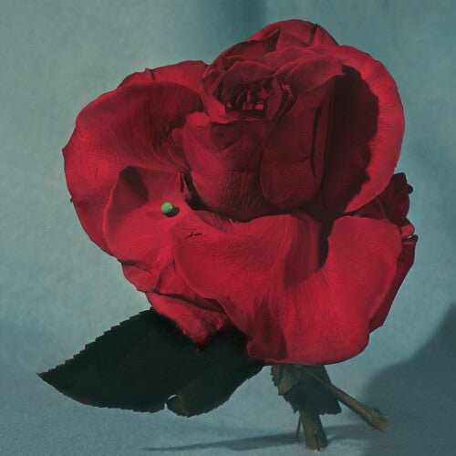 Metz - Up on Gravity Hill [Clear w/ Red Vinyl]  (New Vinyl LP)