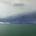 Modest Mouse - Fruit That Ate Itself  (New Vinyl LP)