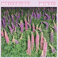 Motherhood - Winded [Purple Vinyl]  (New Vinyl LP)