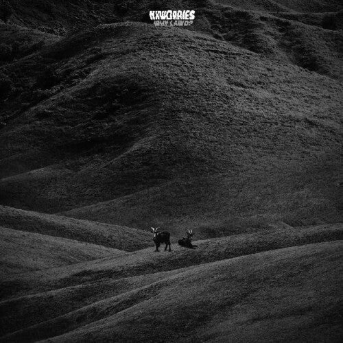 NxWorries [Anderson Paak & Knxwledge] - Why Lawd? [Colored Vinyl]  (New Vinyl LP)