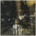 Old Fire - Voids  (New Vinyl LP)