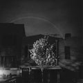 Open City - Hands In The Honey Jar [Dark Cyan & White Vinyl]  (New Vinyl LP)