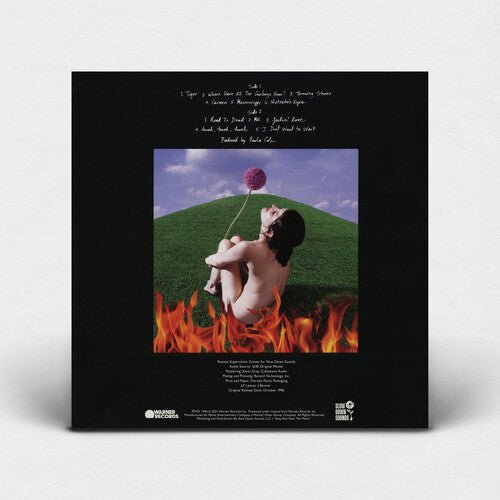 Paula Cole - This Fire [Translucent Blue Vinyl]  (New Vinyl LP)