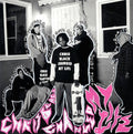 Portugal the Man - Chris Black Changed My Life [Clear Vinyl]  (New Vinyl LP)